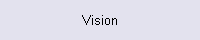 Vision